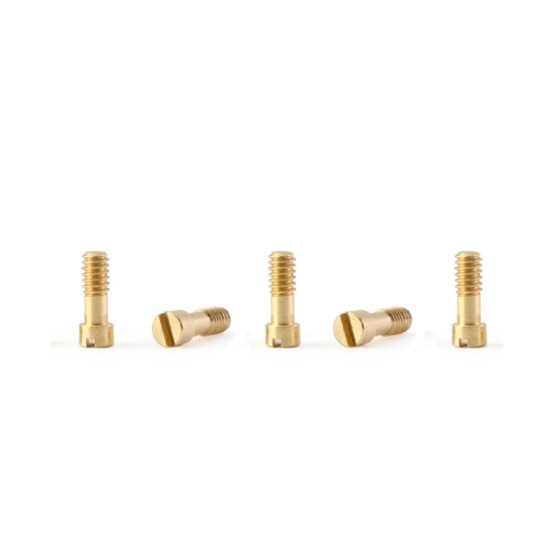 Policar PCH07 Metric screws M2x5mm brass  (5x)