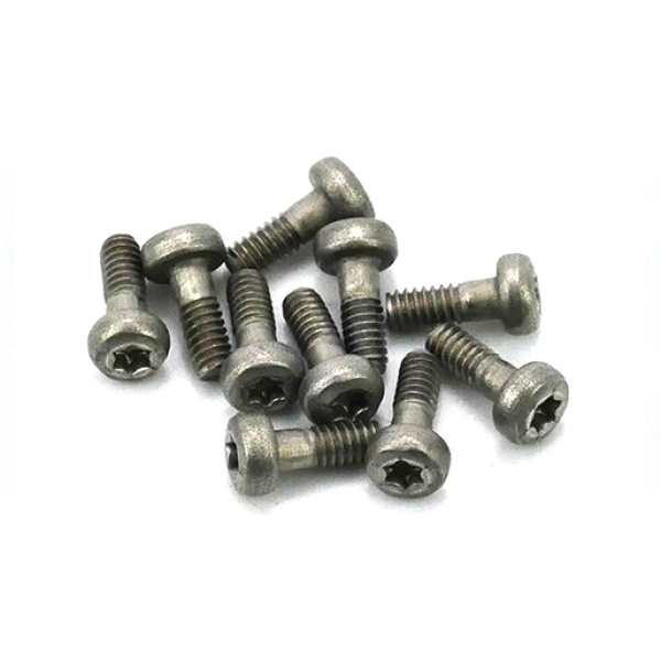 Thunderslot SCR003TX torx T6 metric screws 1.8x6mm. (10 pcs.)